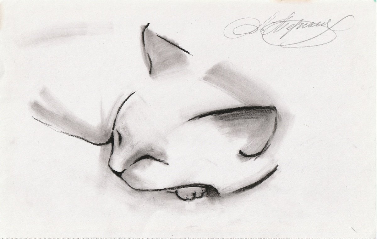 Animal Charcoal Drawing By Anastasia Terskih, 12 X 7, Cat, Original Artwork