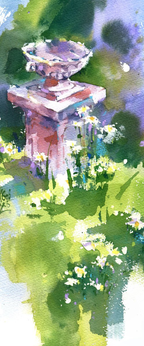 A field of daisies by Ksenia Selianko