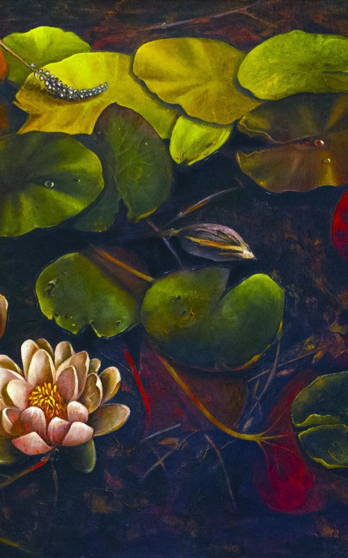 Water lilies in marsh leaves by Inga Loginova