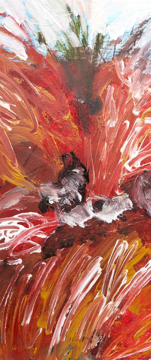 Red Sphagnum Spring by Elizabeth Anne Fox