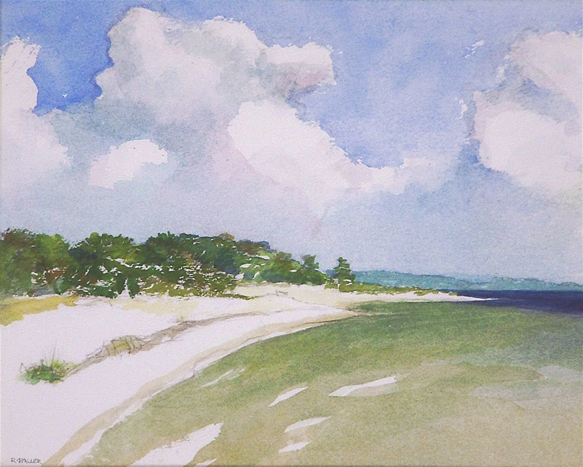 Impressionistic Landscape Watercolour By Rick Paller, 14 X 12", Lagoon On Saint Andrews, Original Artwork