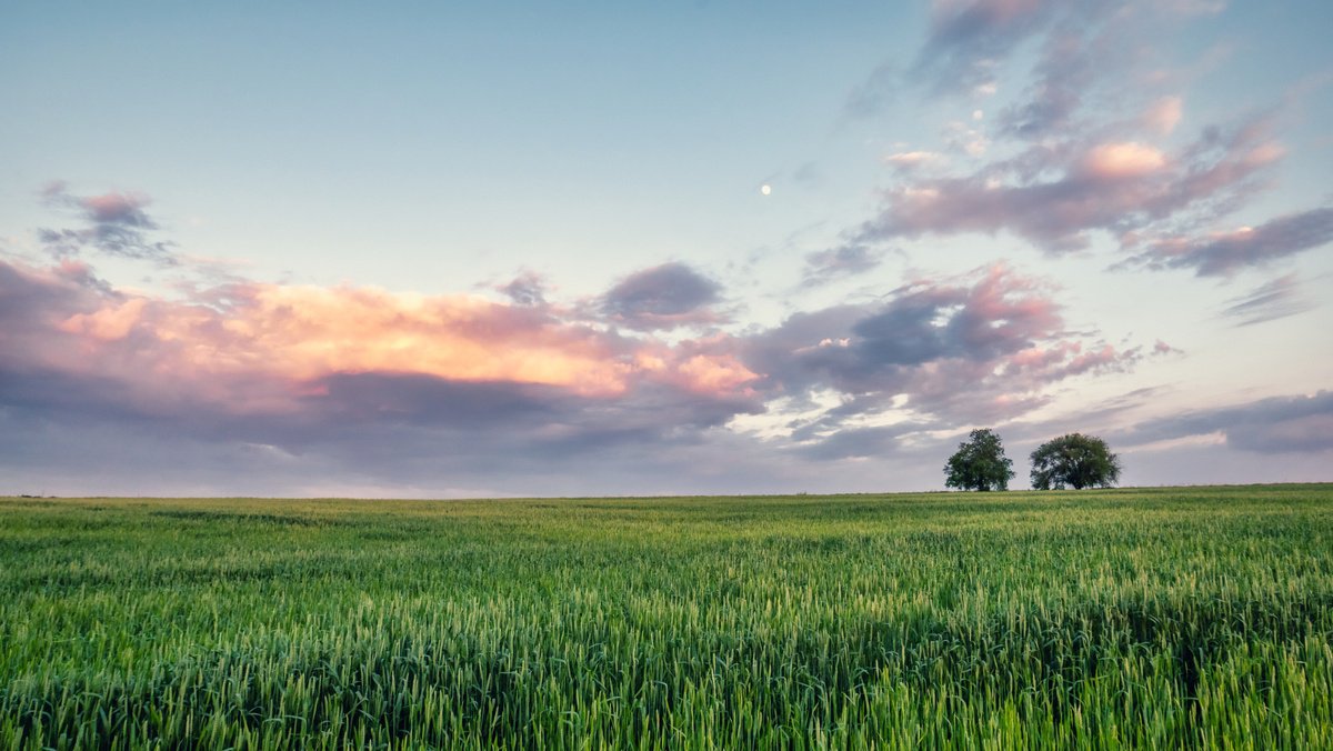 Evening Silence by Vlad Durniev