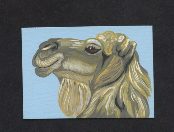 ACEO ATC Original Miniature Painting Camel Wildlife Art-Carla Smale