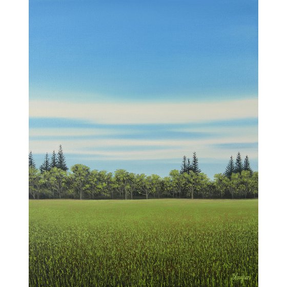 Meadow Grass - Blue Sky Landscape