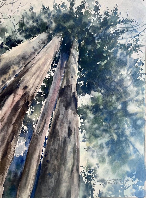 Life in the forest