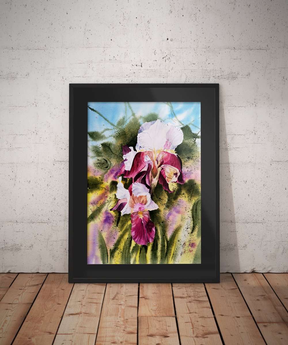 Impressionistic Botanical Watercolour By Aneta Gajos, 14 X 20, Home Garden Iris, Original Artwork