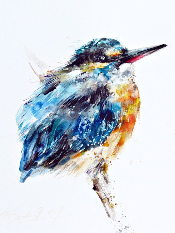 kingfisher III