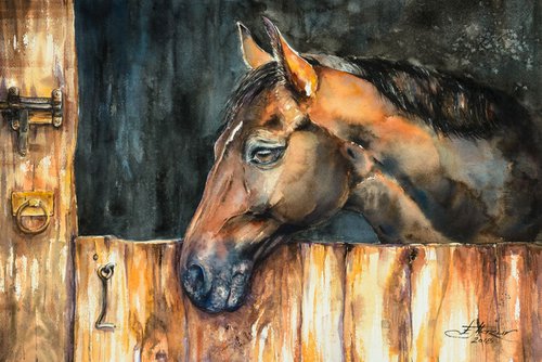 Horse portrait by Eve Mazur