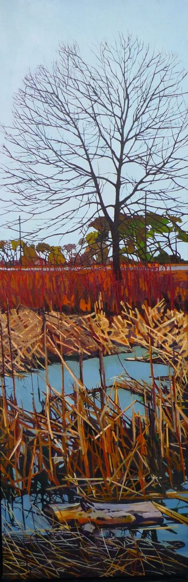 Wetlands by Julie Goulding