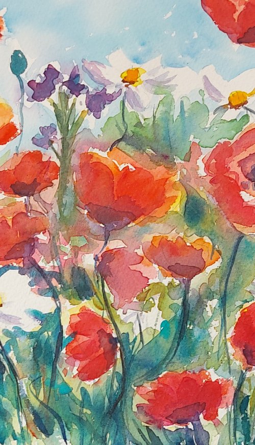 Daisies and poppies by Silvia Flores Vitiello