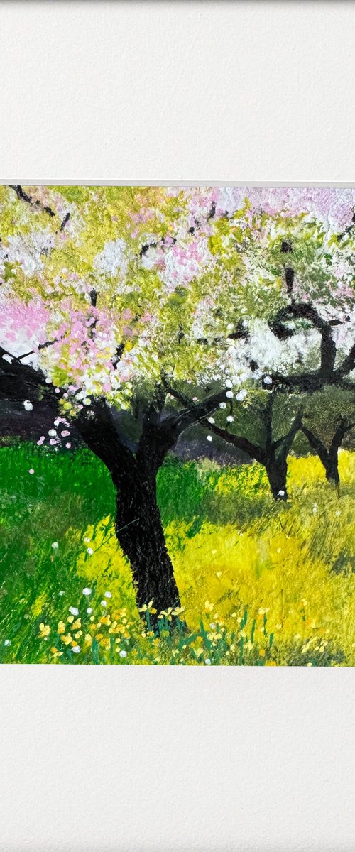 Daffodils in the orchard by Teresa Tanner