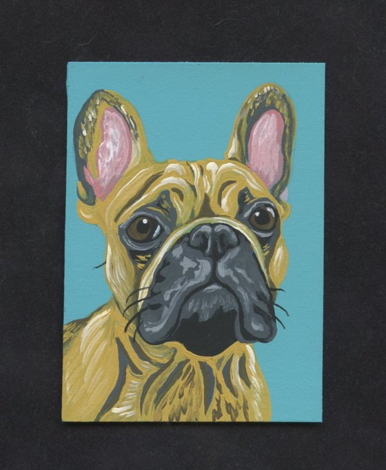 ACEO ATC Original Miniature Painting Fawn Tan French Bulldog Pet Dog Art-Carla Smale