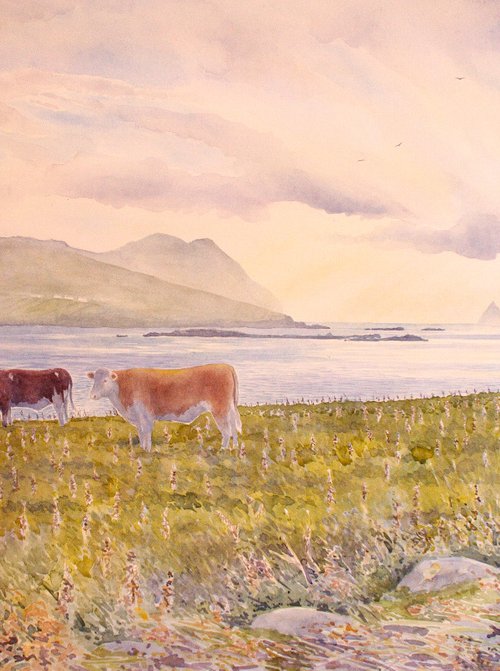 Evening, Dingle peninsula, County Kerry by John Horton