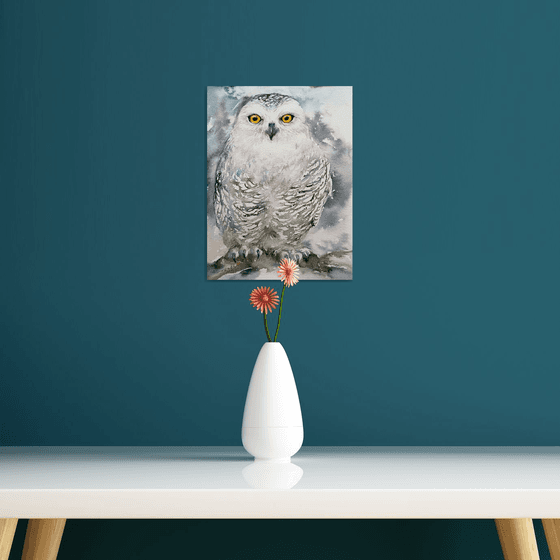 Snow Owl Wallie