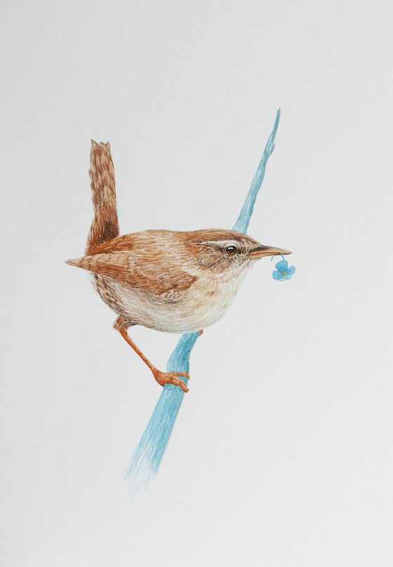 Eurasian wren with fake plastic flower