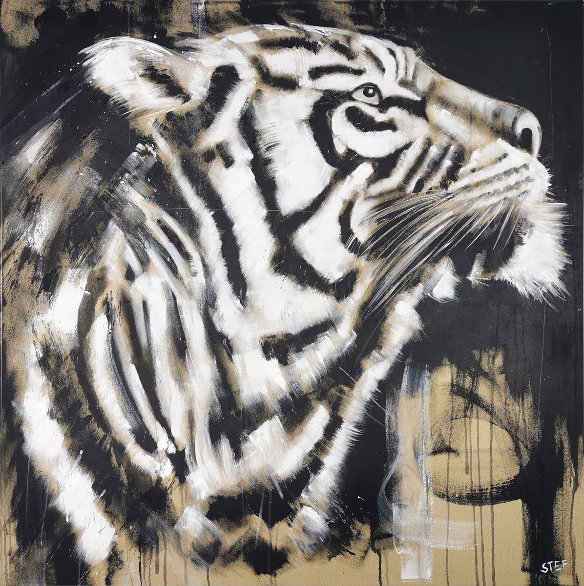 Expressive Animal Acrylic Painting By Stefanie Rogge, 39 X 39", Big Cat - Tiger #8, Original Artwork