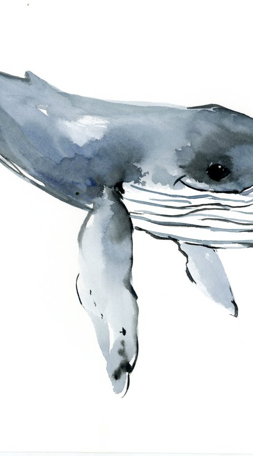 Humpback Whale by Suren Nersisyan