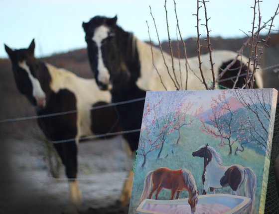 The Garden of Horses and Boats