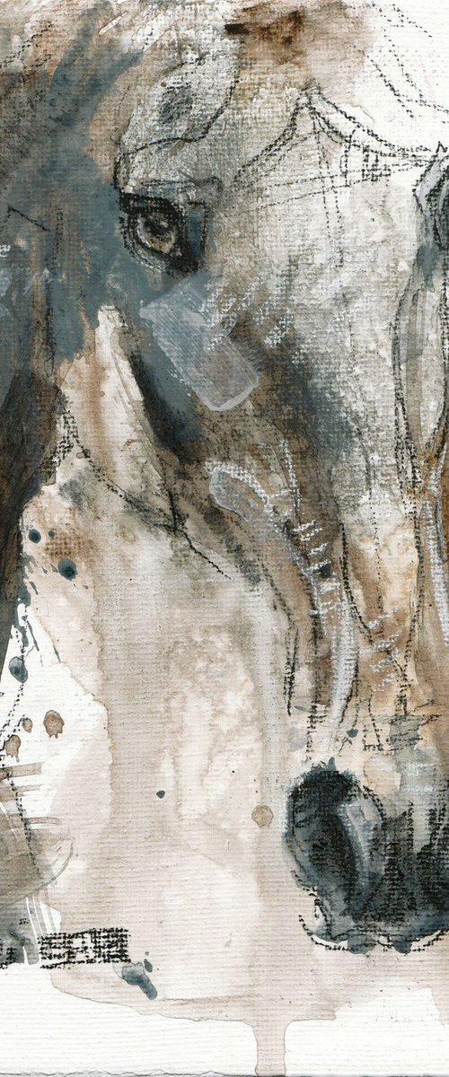 Equine Nude 286 by Benedicte Gele