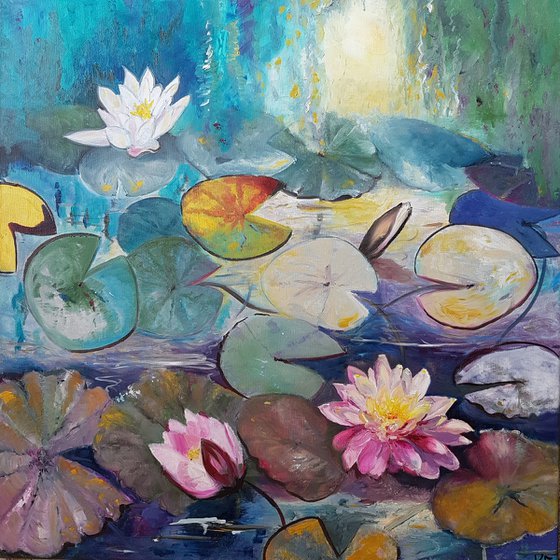 Dream of a water lily pond