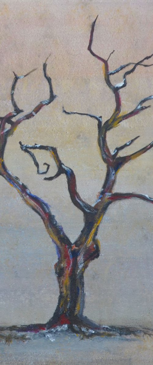 Bare tree study by Christopher Figat