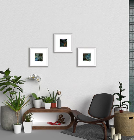 Colorful Harmony Collection 2