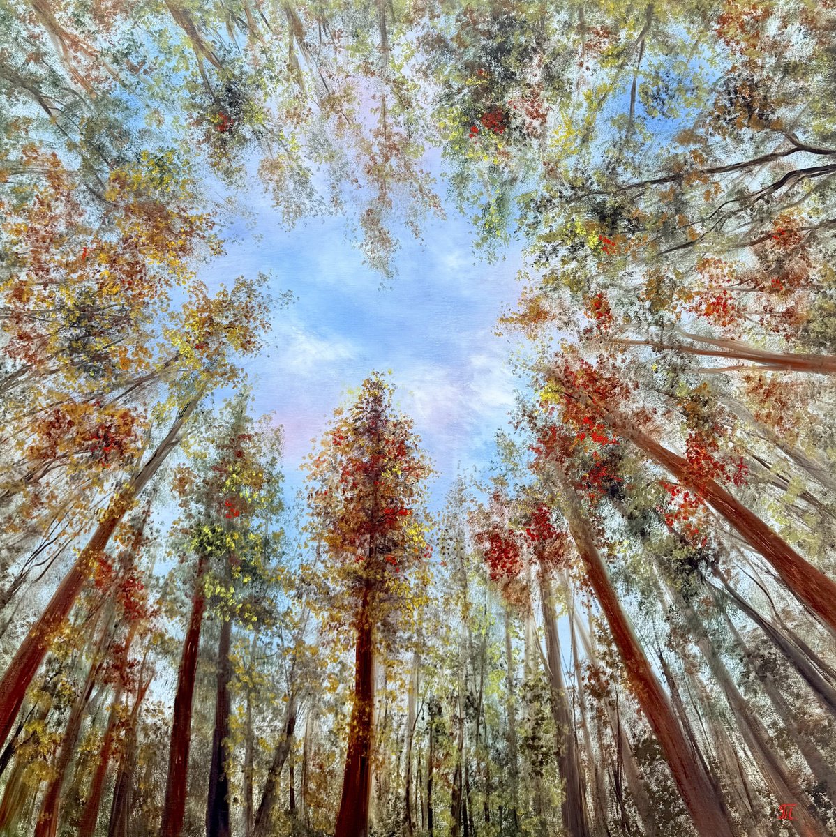 Impressionistic Landscape Oil Painting By Tanja Frost, 35 X 35", Where The Sky Begins, Original Artwork