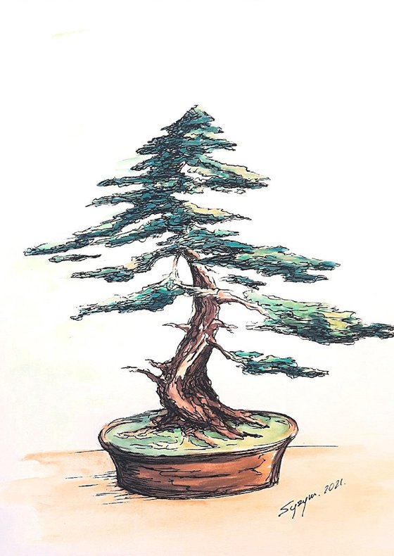 BONSAI I