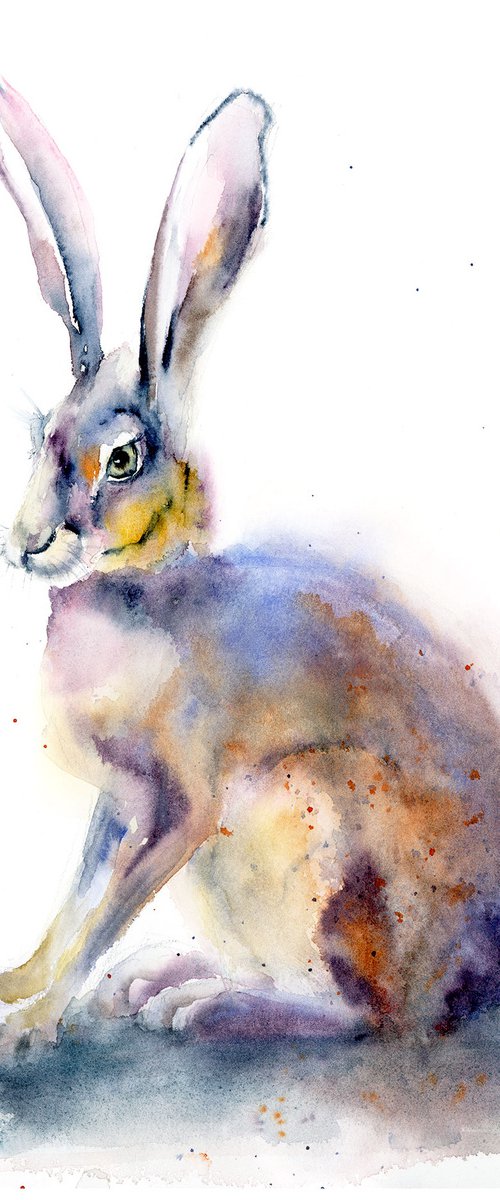 Rabbit by Olga Tchefranov (Shefranov)