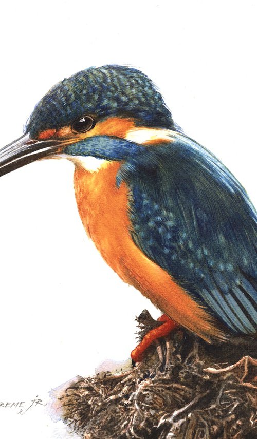 Kingfisher III by REME Jr.