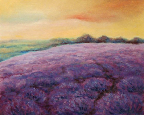 Lavender field