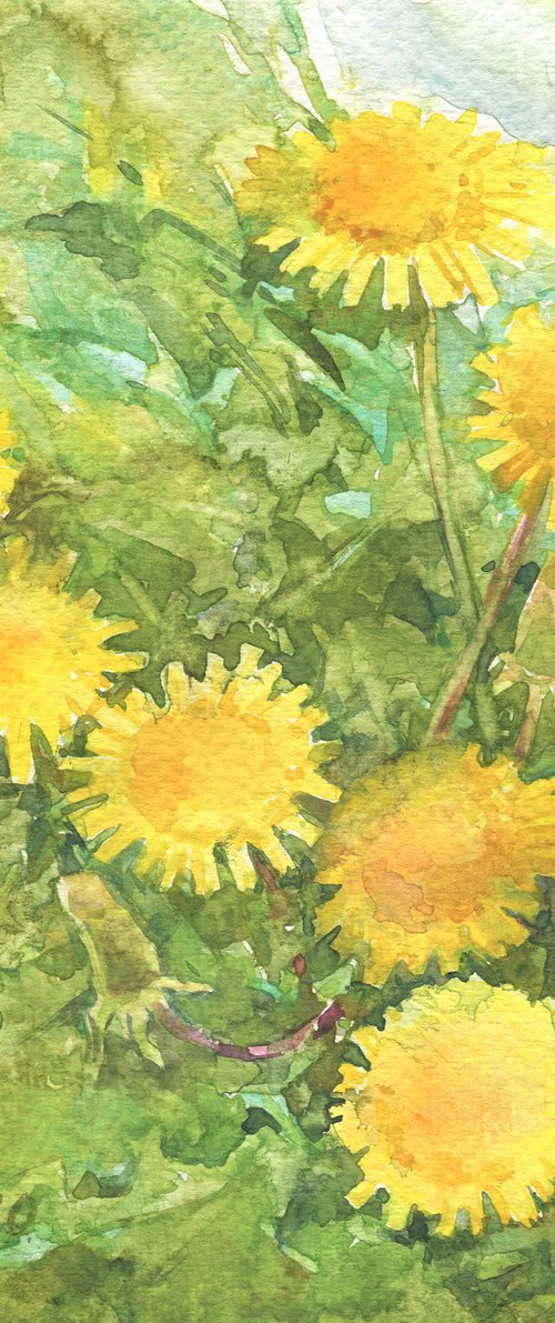 Yellow dandelion in green grass / Spring sketch Watercolor flowers Floral painting by Olha Malko