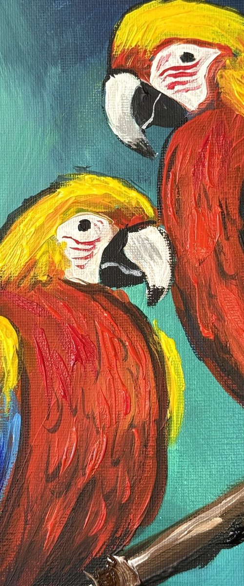 Vibrant Macaws by Aisha Haider