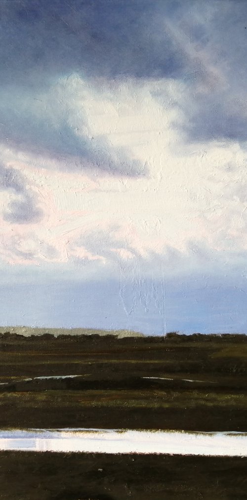 Rye Harbour by Lisa Punter