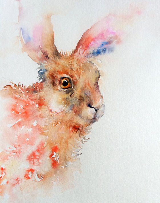 Scarlet Hare