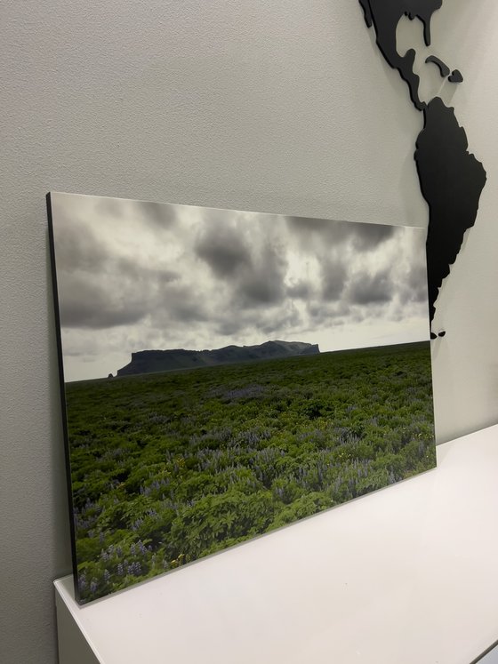 ICELANDIC EXPANSE