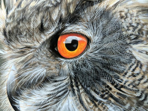 Eagle Owl III (Original Pastel Painting)