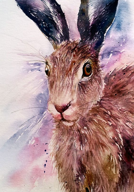 Moonglow Hare