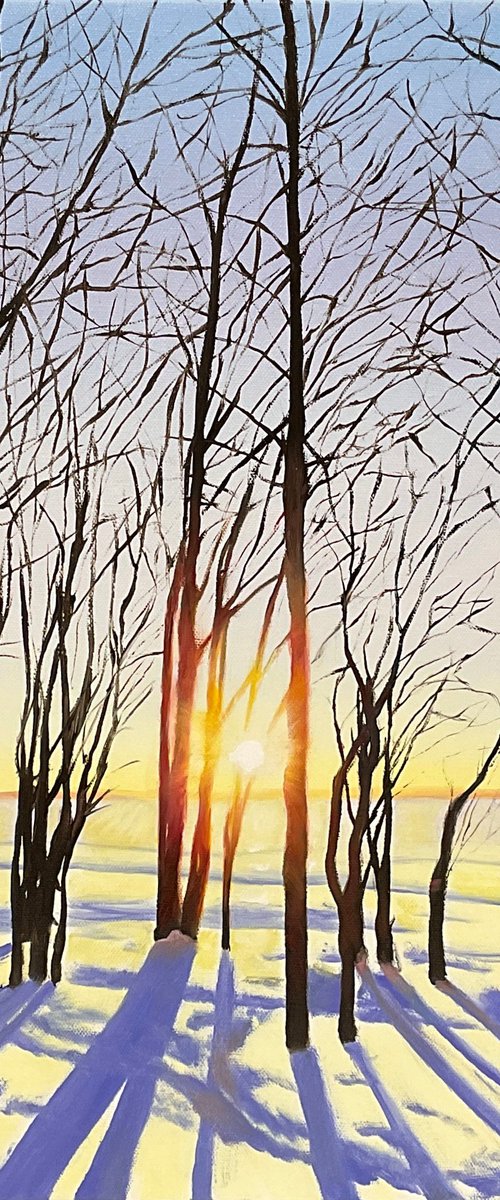 Winter Solstice Sunrise by Alla Kallass
