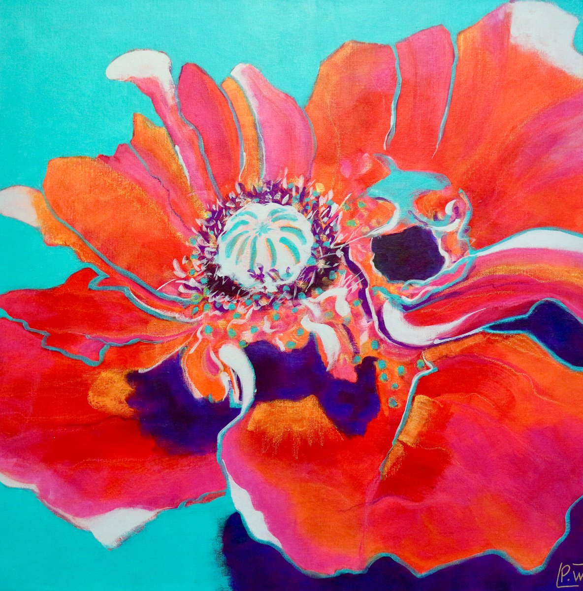 Garnet Poppy by Pascale WHITE