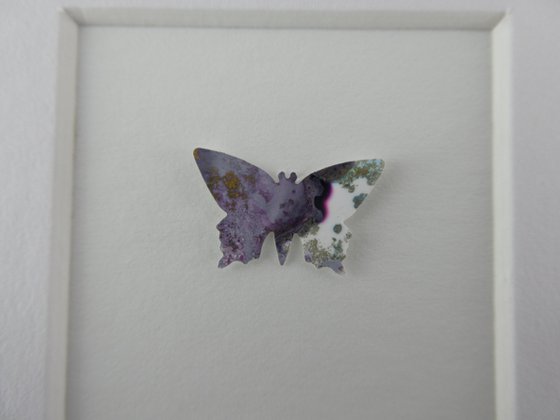 One lilac butterfly