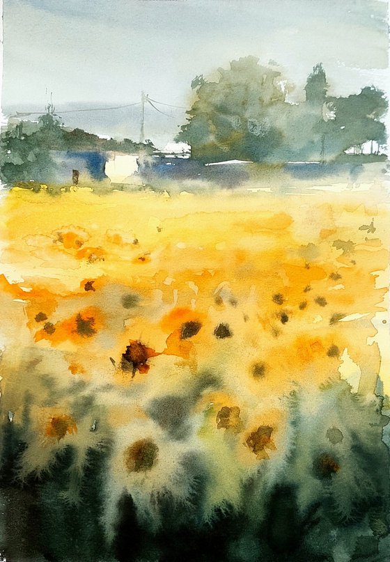 SUNFLOWERS