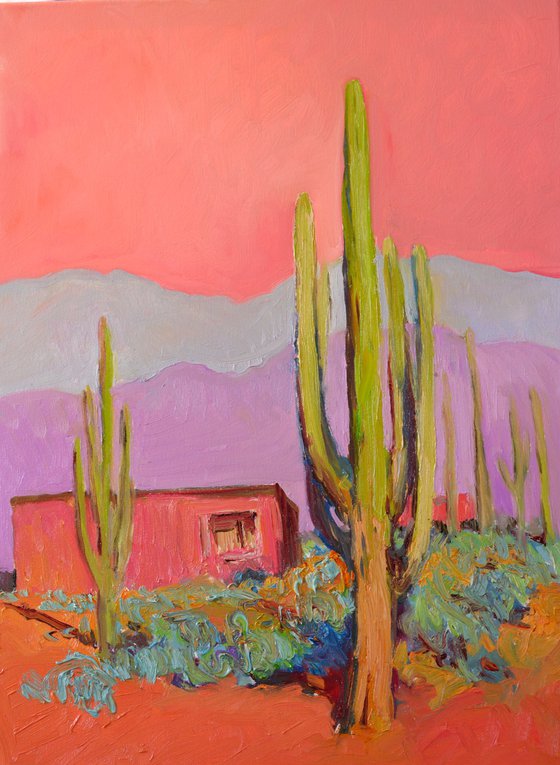 Pink House and Saguaros