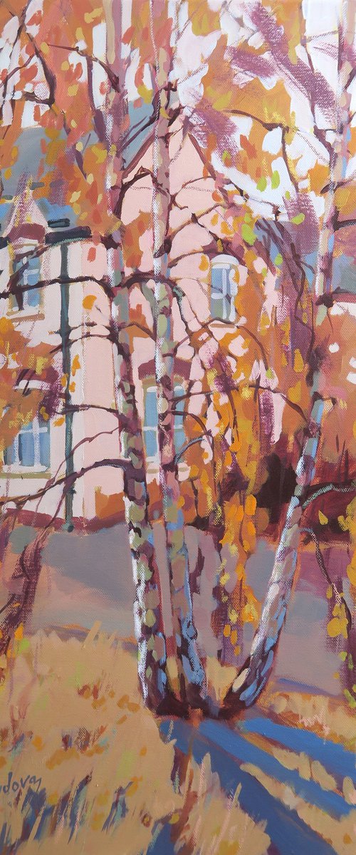 Autumnal Birch Trees by Diana Davydova