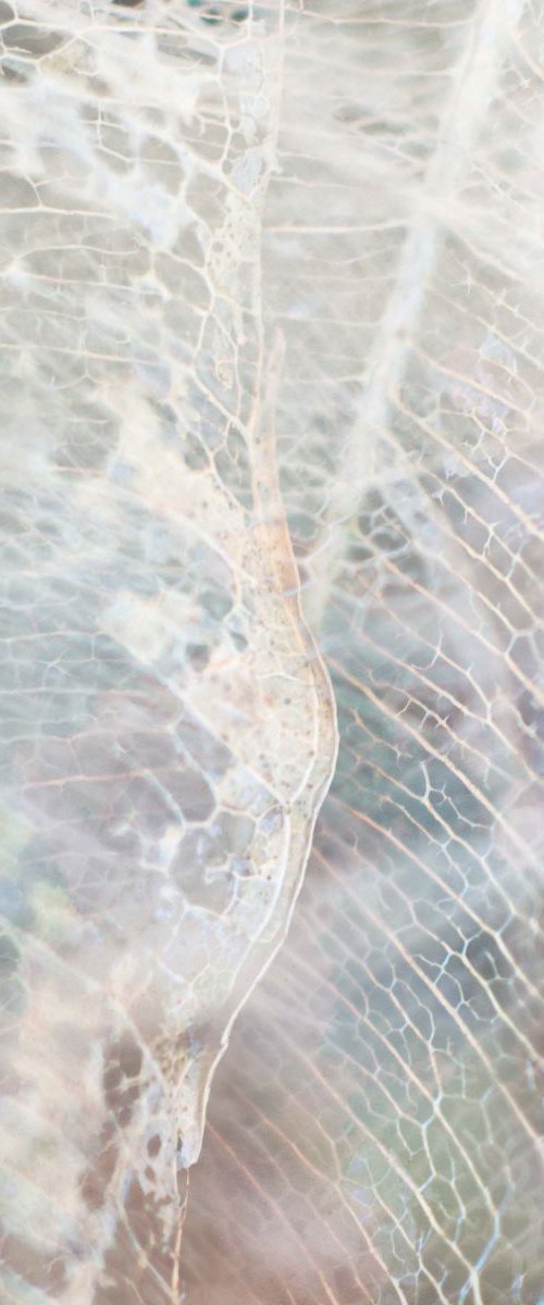 skeleton leaf abstract I by Emily Hughes