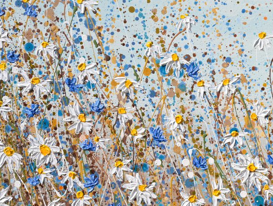 Daisies in September