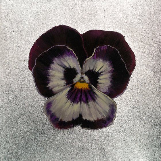 Pansy #15