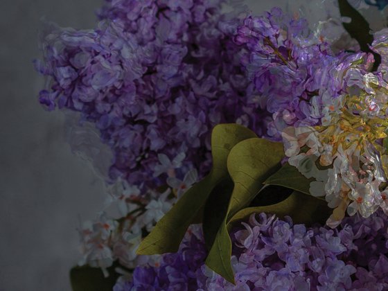 Lilas 2