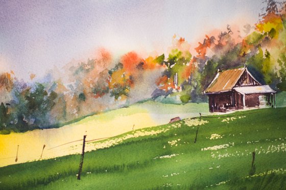 Farmhouse in Zug. Switzerland nature landscape watercolor mood interior green sun shadow light