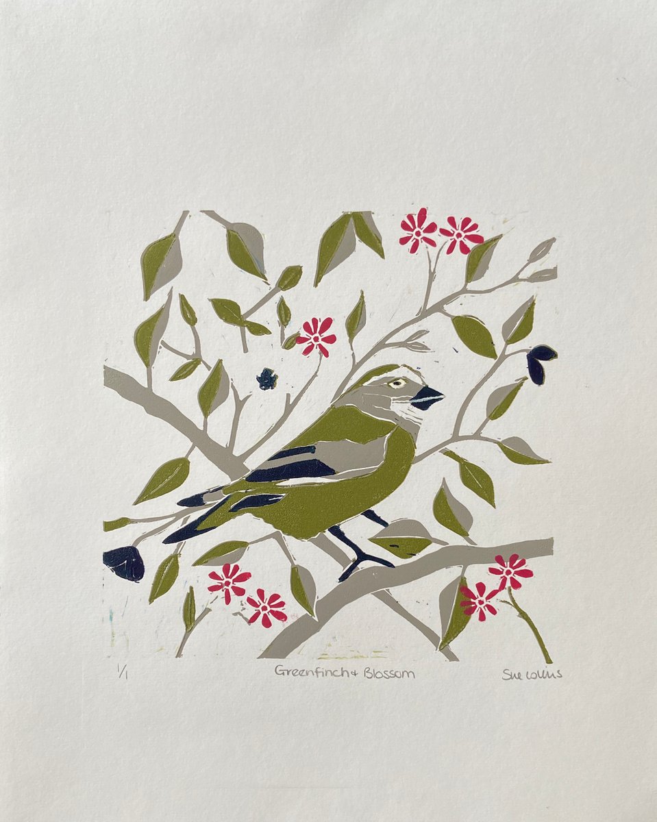 Greenfinch and Blossom by Sue Collins